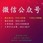 微讯网络与微仁网络 企业通信服务的双重奏